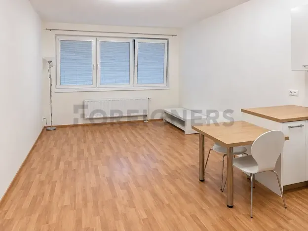 Pronájem bytu 1+kk, Olomouc, Aloise Rašína, 29 m2