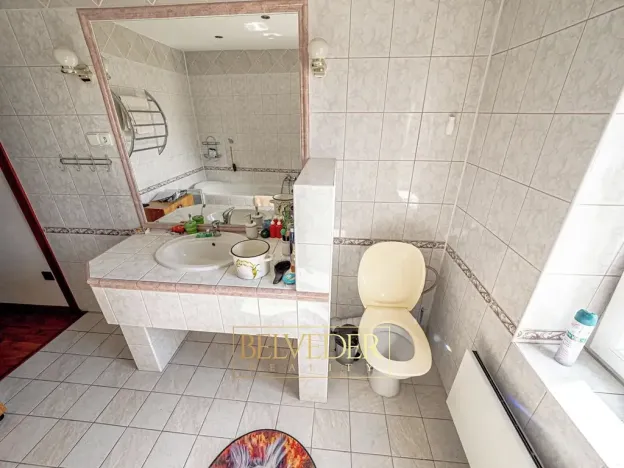 Prodej vícegeneračního domu, Teplice, Doubravská, 430 m2
