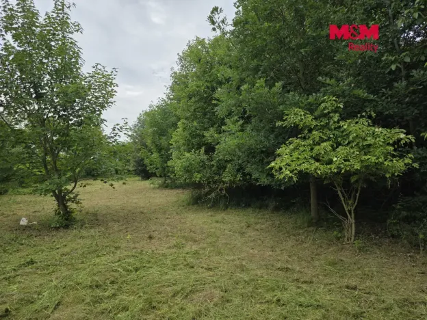 Prodej pozemku pro bydlení, Bor - Boječnice, 1093 m2