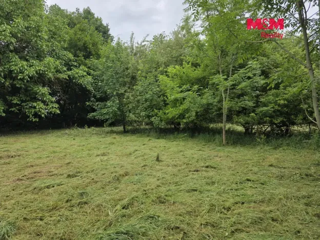 Prodej pozemku pro bydlení, Bor - Boječnice, 1093 m2