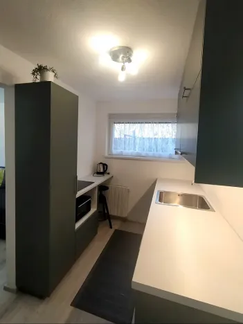 Pronájem bytu 1+kk, Brno, Brigádnická, 20 m2