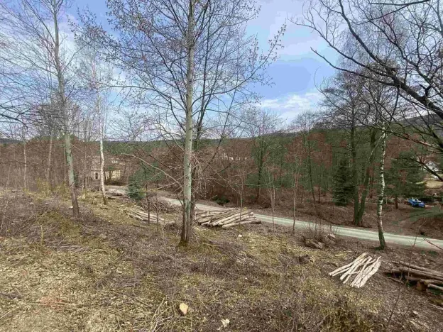 Prodej pozemku, Horní Stropnice - Šejby, 704 m2