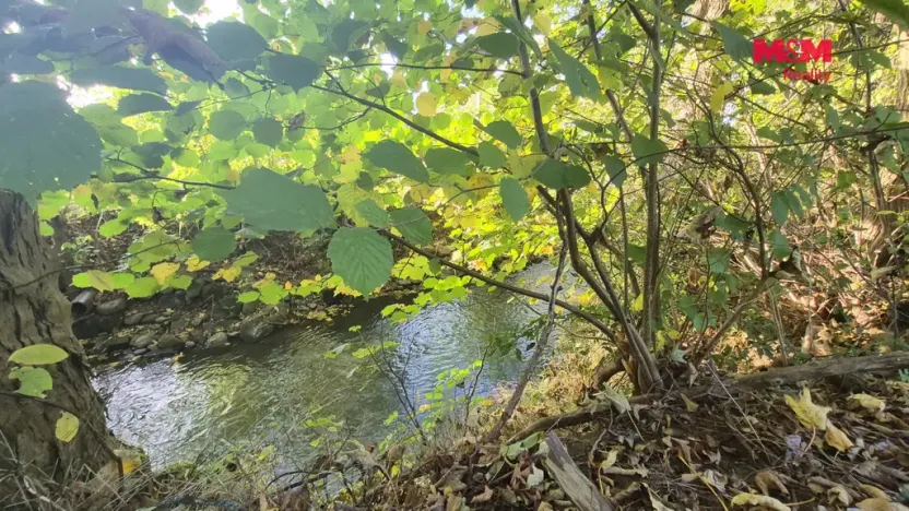 Prodej pozemku pro bydlení, Kunratice u Cvikova, 1655 m2