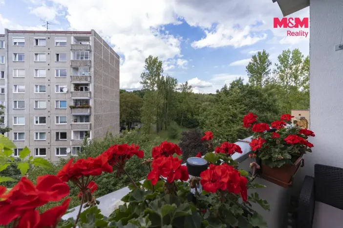 Prodej bytu 3+1, Chodov, Husova, 68 m2