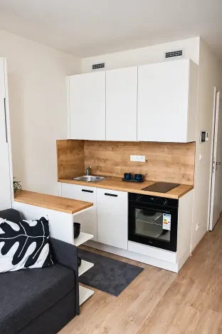 Pronájem bytu 1+kk, Praha - Smíchov, Plzeňská, 20 m2