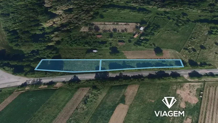 Prodej zahrady, Šitbořice, 1723 m2
