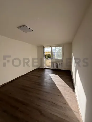 Pronájem bytu 3+1, Brno, náměstí Svornosti, 78 m2