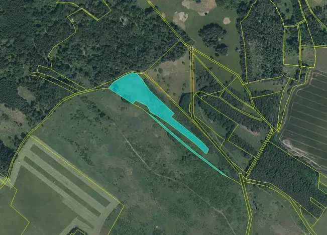 Dražba pozemku, Černošín, 17271 m2