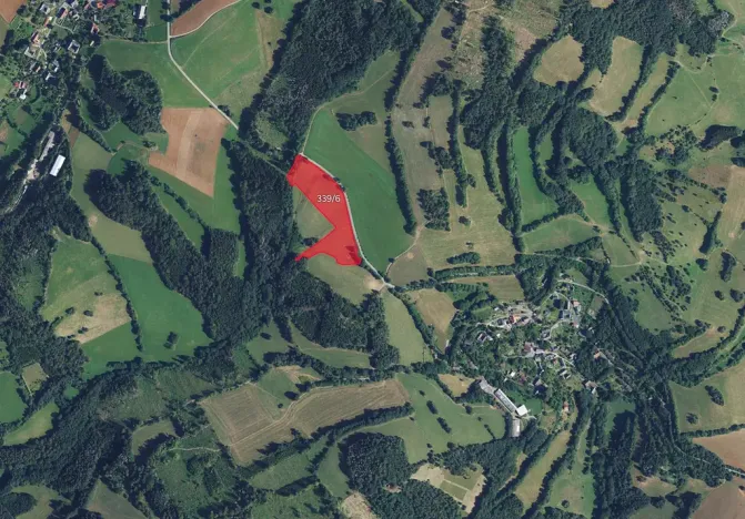 Prodej louky, Dalečín, 12868 m2