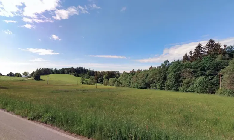 Prodej louky, Dalečín, 12868 m2