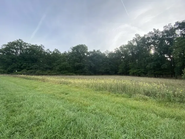Prodej louky, Ostřetín - Vysoká u Holic, 2972 m2