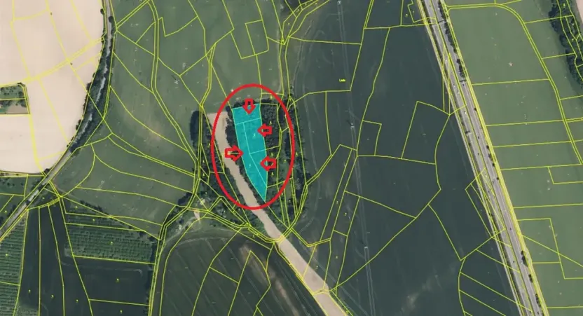 Prodej lesa, Lažany, 7152 m2