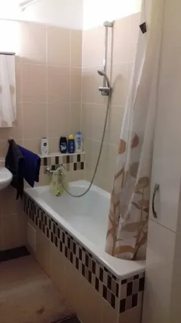 Pronájem bytu 2+kk, Brno, Křehlíkova, 55 m2