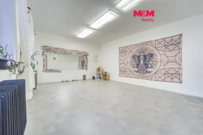 Pronájem obchodního prostoru, Plzeň - Vnitřní Město, Veleslavínova, 95 m2