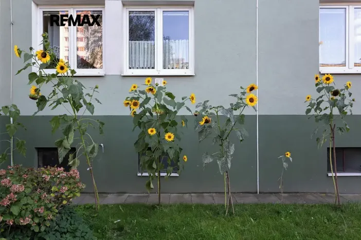 Prodej bytu 4+1, Praha - Záběhlice, Hrusická, 71 m2
