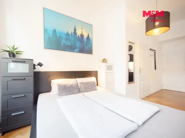Prodej bytu 1+kk, Praha - Nové Město, Školská, 17 m2