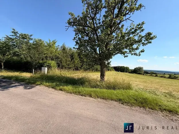 Prodej pozemku pro bydlení, Kobylnice, 5584 m2