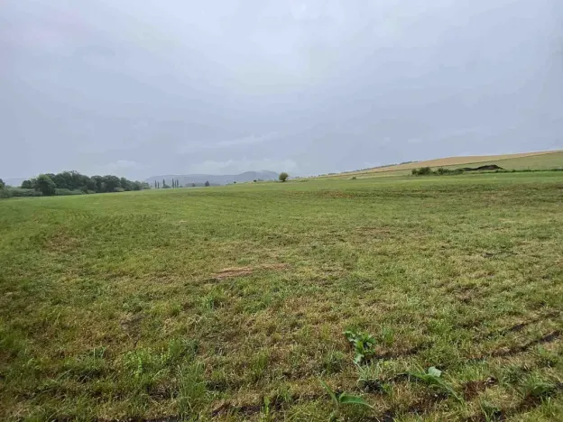 Prodej pole, Rabí - Bojanovice, 22978 m2