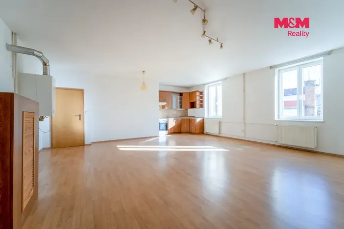 Pronájem bytu 3+kk, Plzeň, Goethova, 123 m2