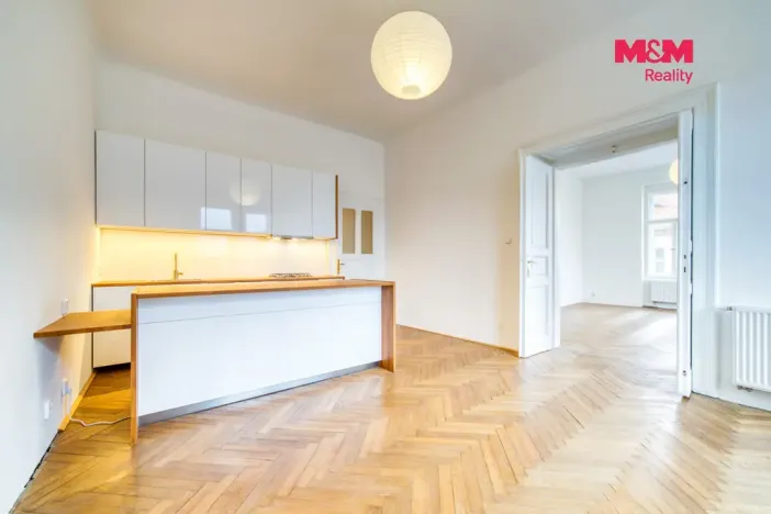 Pronájem bytu 3+kk, Plzeň - Vnitřní Město, Solní, 109 m2