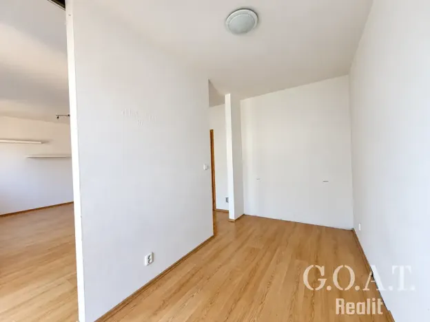 Prodej bytu 1+kk, Plzeň, Karlova, 42 m2