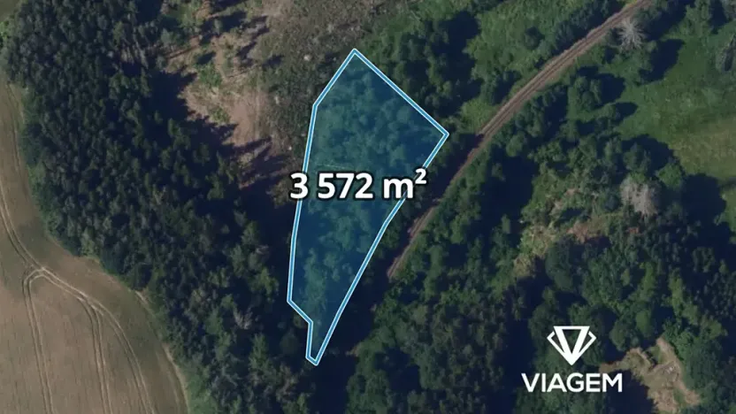 Prodej podílu lesa, Břevnice, 1786 m2