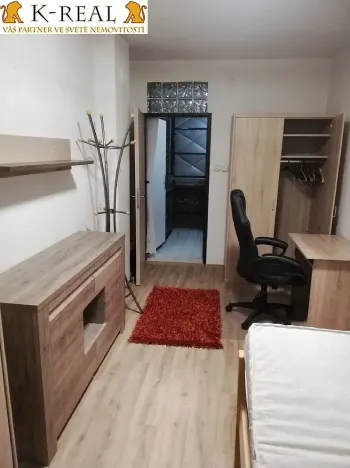 Pronájem bytu 1+1, Brno, V aleji, 40 m2
