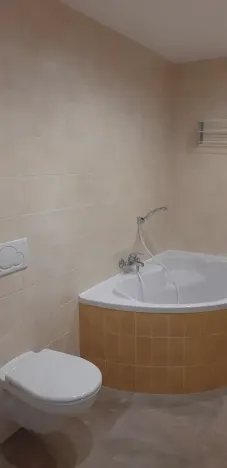 Pronájem bytu 1+kk, Břeclav, U Tržiště, 30 m2