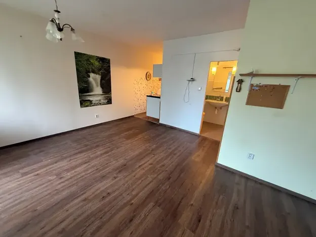 Prodej bytu 1+kk, Jílové u Prahy, Holíkova, 44 m2