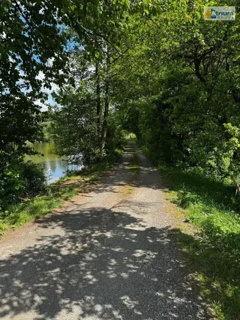 Pronájem zemědělské usedlosti, Ondřejov, Brožkova, 80 m2