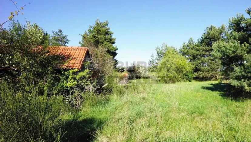 Prodej zahrady, Mělník, 9817 m2