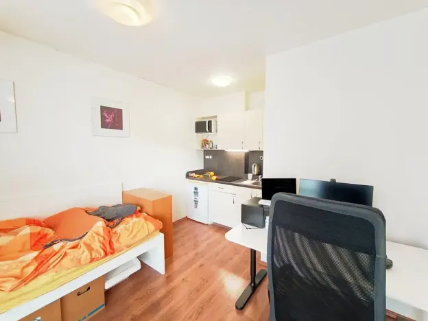 Pronájem bytu 1+kk, Brno, Skořepka, 24 m2