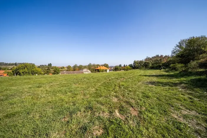 Prodej pozemku pro bydlení, Daleké Dušníky, 5258 m2