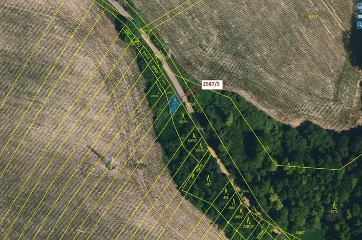 Dražba lesa, Horní Dunajovice, 78 m2