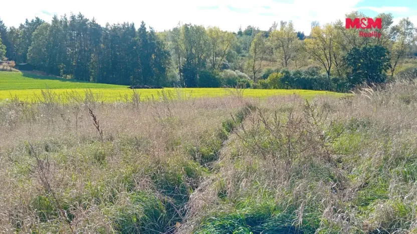 Prodej pozemku pro bydlení, Řehenice, 6409 m2