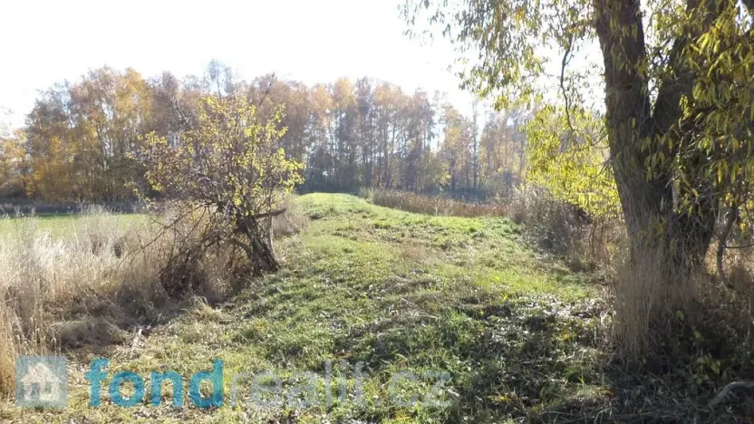 Prodej pozemku, Borovná, 1225 m2