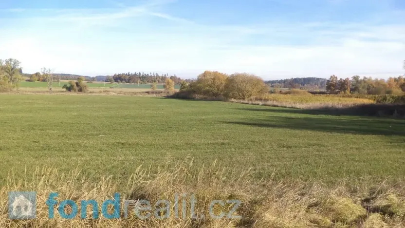 Prodej pozemku, Borovná, 1225 m2