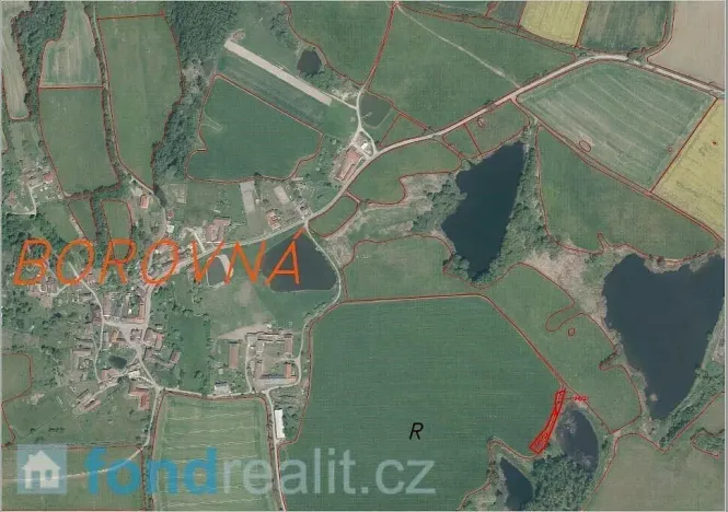 Prodej pozemku, Borovná, 1225 m2