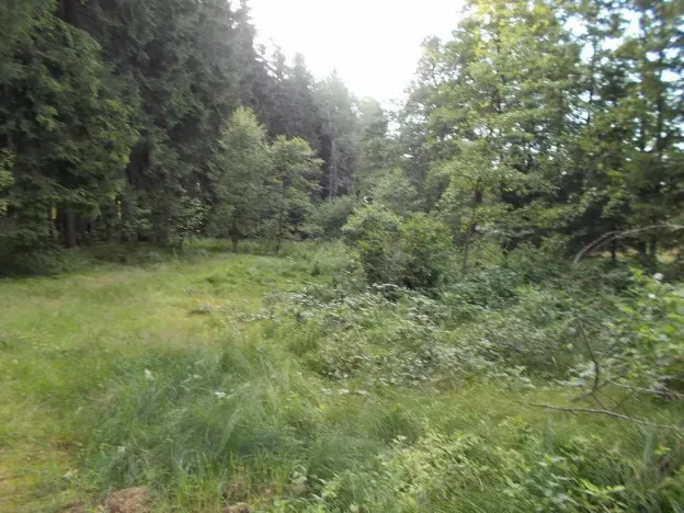 Prodej louky, Velký Šenov - Leopoldka, 3266 m2