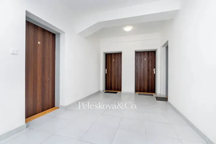 Pronájem bytu 1+kk, Praha - Holešovice, Jankovcova, 38 m2