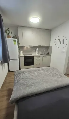 Pronájem bytu 1+kk, České Budějovice, Pekárenská, 22 m2