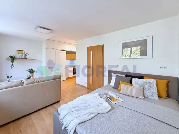 Prodej bytu 1+kk, Praha - Michle, U michelského mlýna, 32 m2