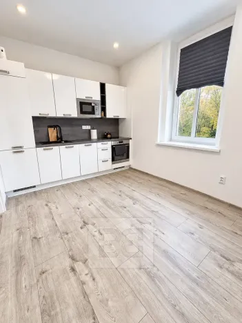 Pronájem bytu 1+1, Mělník, Pražská, 45 m2