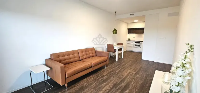 Pronájem bytu 2+kk, Brno - Veveří, Lidická, 55 m2