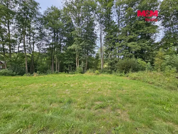 Prodej pozemku pro bydlení, Mařenice - Dolní Světlá, 2304 m2