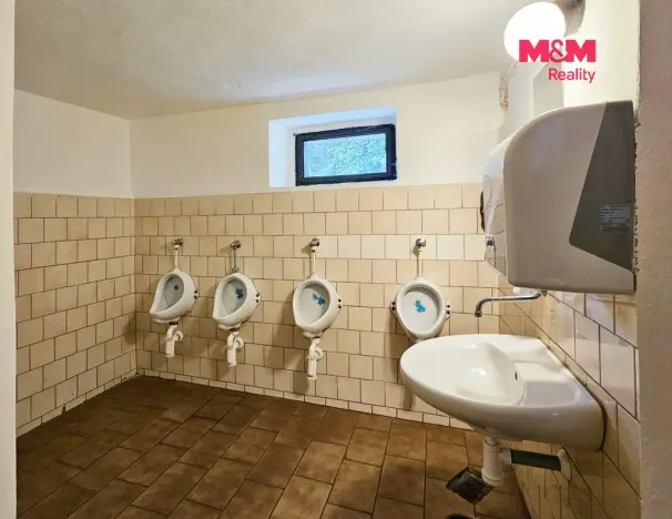 Prodej restaurace, Mařenice - Dolní Světlá, 598 m2