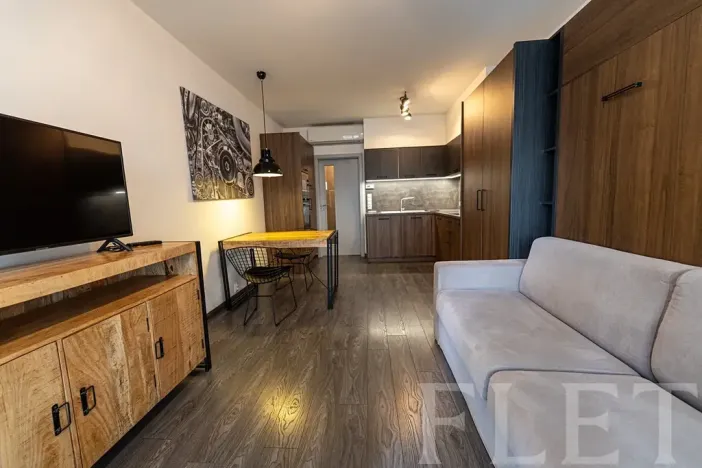 Pronájem bytu 1+kk, Praha - Karlín, Sokolovská, 31 m2