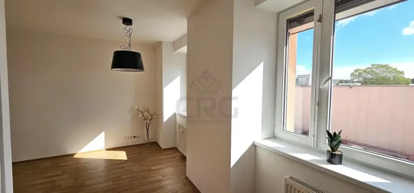 Pronájem bytu 1+kk, Brno - Zábrdovice, Tkalcovská, 32 m2