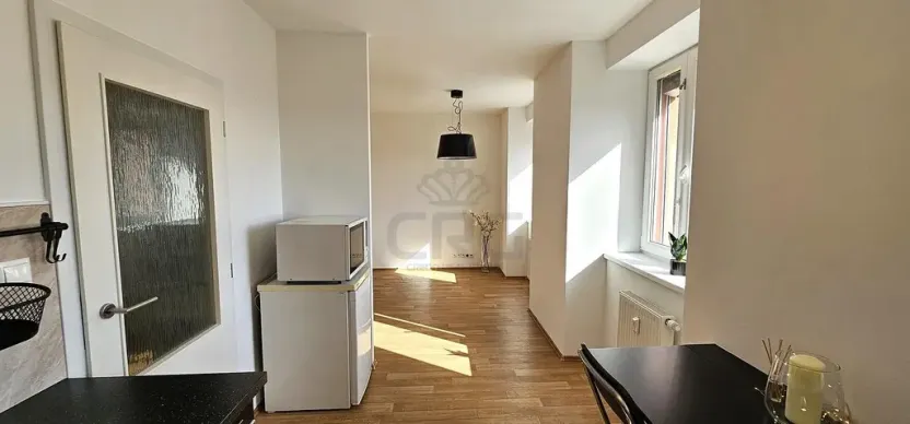 Pronájem bytu 1+kk, Brno - Zábrdovice, Tkalcovská, 32 m2