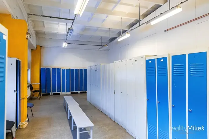 Prodej výrobních prostor, Liberec, Malodoubská, 3613 m2